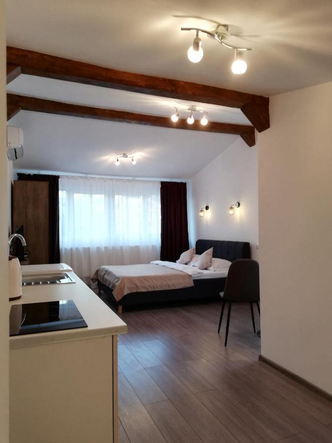 Cara Studio Cu Parcare - Cluj-Napoca Zona Republicii Luaran gambar